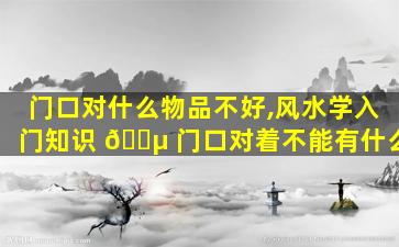 门口对什么物品不好,风水学入门知识 🌵 门口对着不能有什么